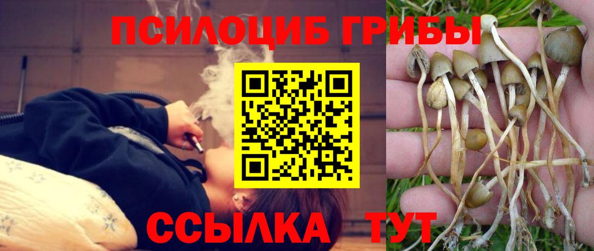 Галлюциногенные грибы ЛСД Тверь